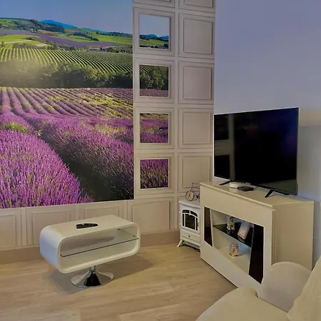 L'universal Provencal Au Coeur De Appartement Mulhouse