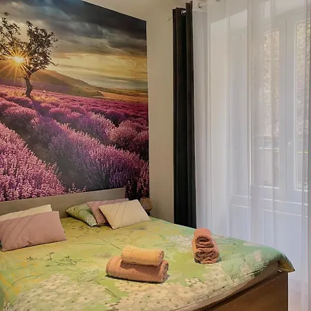 Appartement L'universal Provencal Au Coeur De Mulhouse